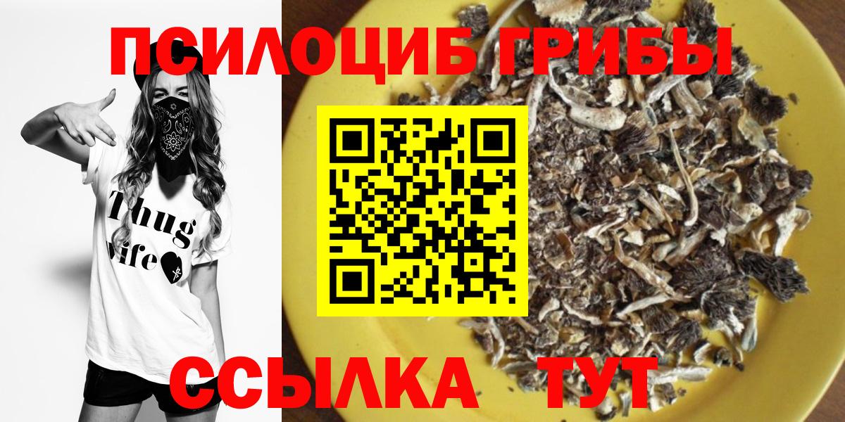 Псилоцибиновые грибы Cubensis Кропоткин